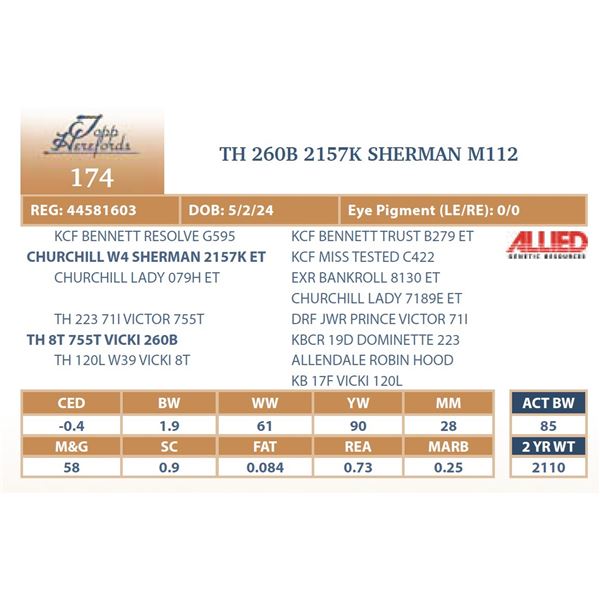 TH 260B 2157K SHERMAN M112