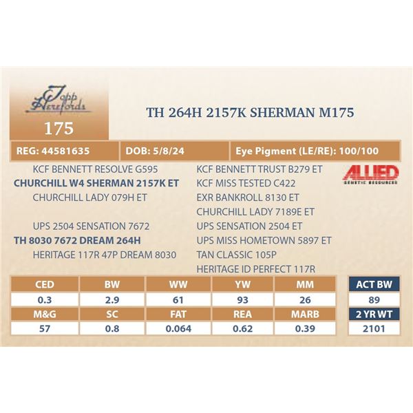 TH 264H 2157K SHERMAN M175