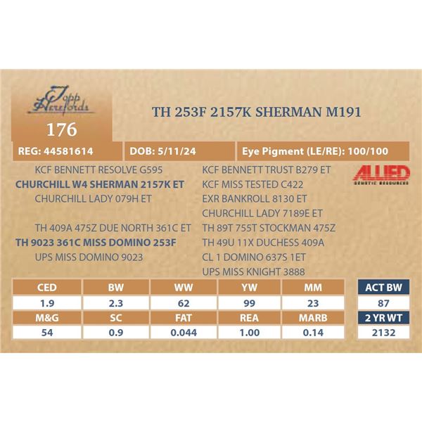 TH 253F 2157K SHERMAN M191