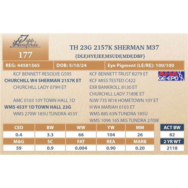 TH 23G 2157K SHERMAN M37
