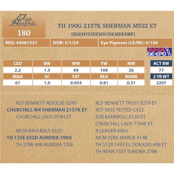 TH 190G 2157K SHERMAN M522 ET