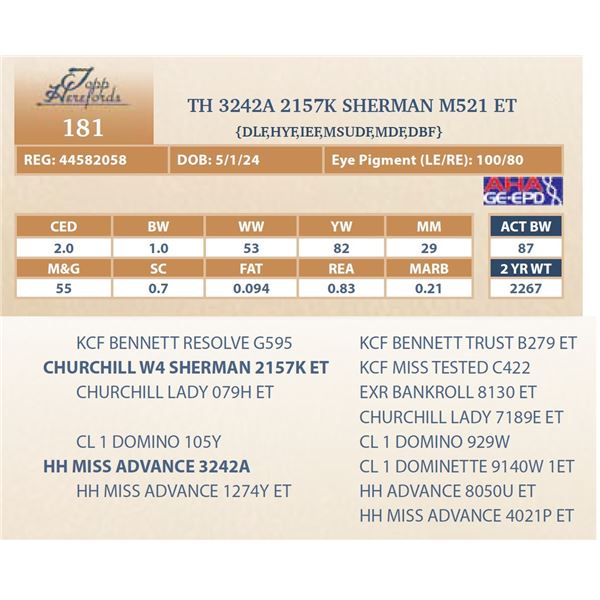 TH 3242A 2157K SHERMAN M521 ET