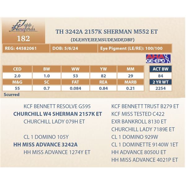TH 3242A 2157K SHERMAN M552 ET