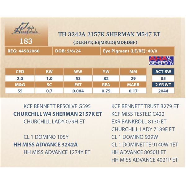 TH 3242A 2157K SHERMAN M547 ET