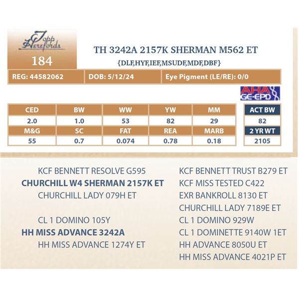 TH 3242A 2157K SHERMAN M562 ET