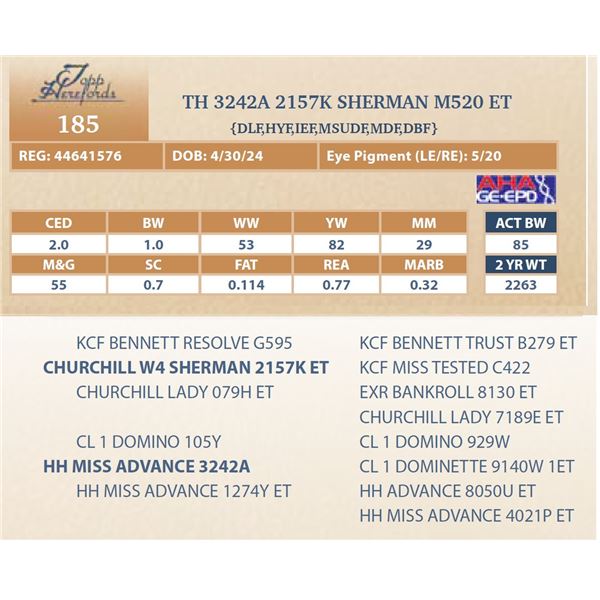 TH 3242 2157K SHERMAN M520 ET