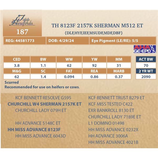 TH 8123F 2157K SHERMAN M512 ET