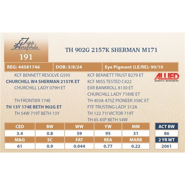 TH 902G 2157K SHERMAN M171