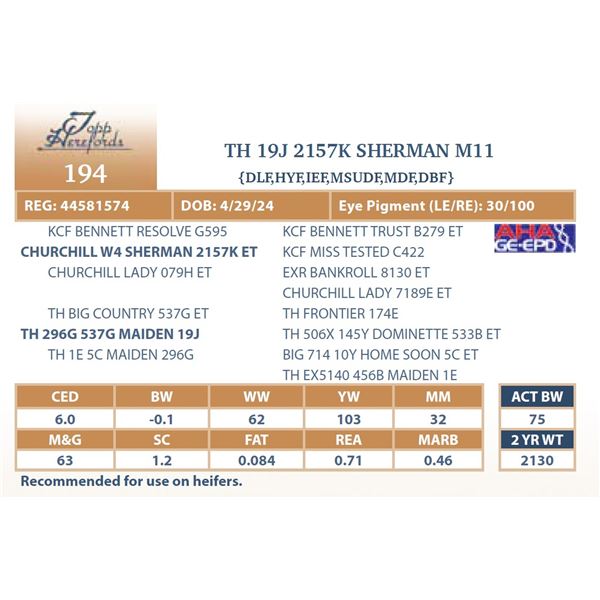 TH 19J 2157K SHERMAN M11