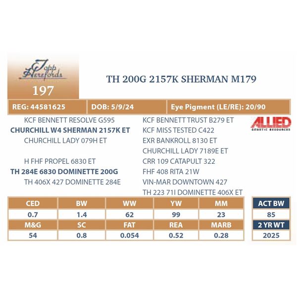 TH 200G 2157K SHERMAN M179