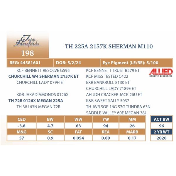 TH 225A 2157K SHERMAN M110