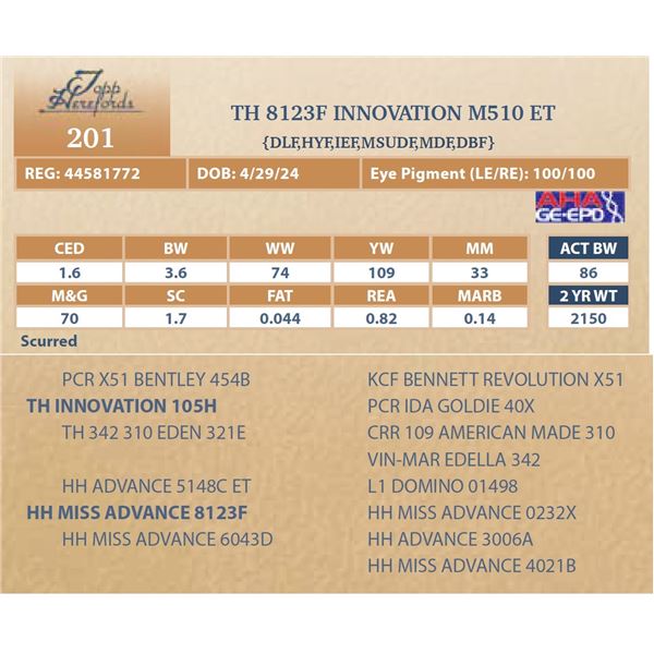 TH 8123F INNOVATION M510 ET