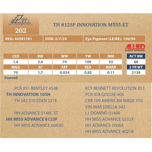 TH 8123F INNOVATION M555 ET