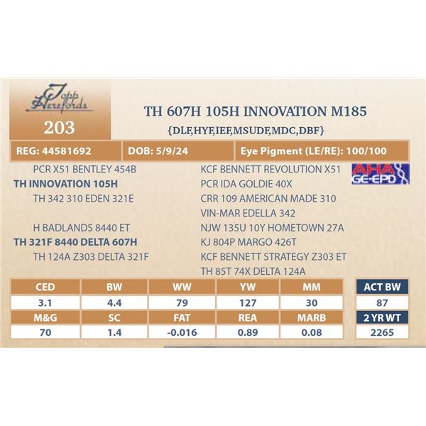 TH 607H 105H INNOVATION M185
