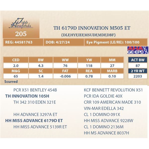 TH 6179D INNOVATION M505 ET