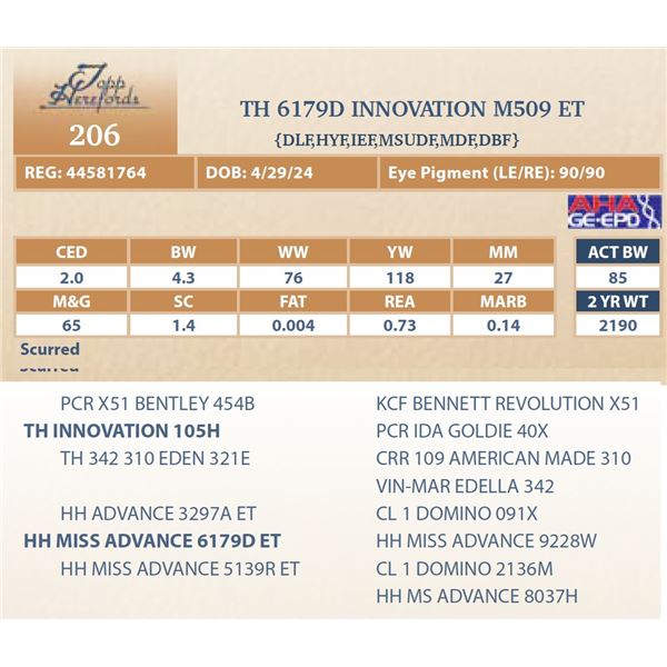 TH 6179D INNOVATION M509 ET