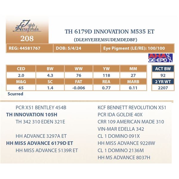 TH 6179D INNOVATION M535 ET