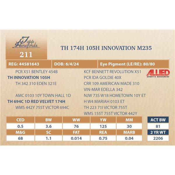 TH 174H 105H INNOVATION M235