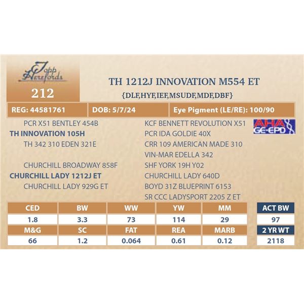 TH 1212J INNOVATION M554 ET