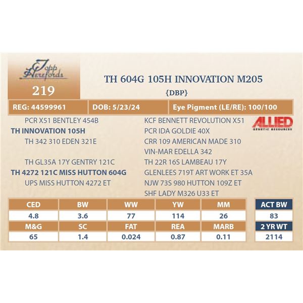 TH 608G 105H INNOVATION M205