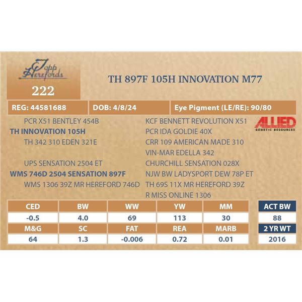 TH 897F 105H INNOVATION M77