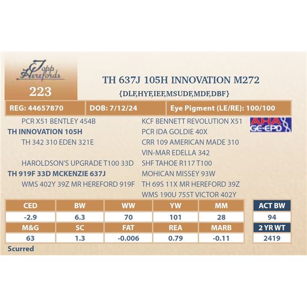TH 637J 105H INNOVATION M272