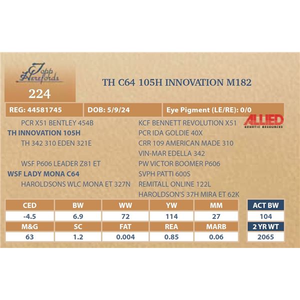 TH C64 105H INNOVATION M182