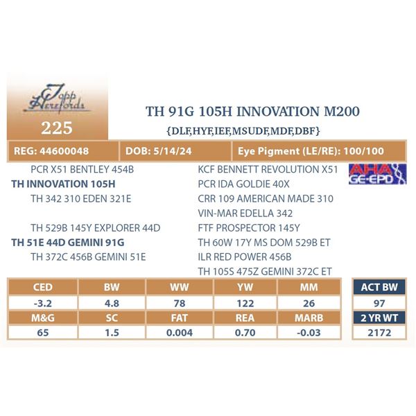 TH 91G 105H INNOVATION M200