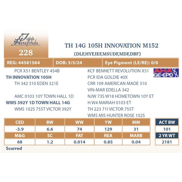 TH 14G 105H INNOVATION M152
