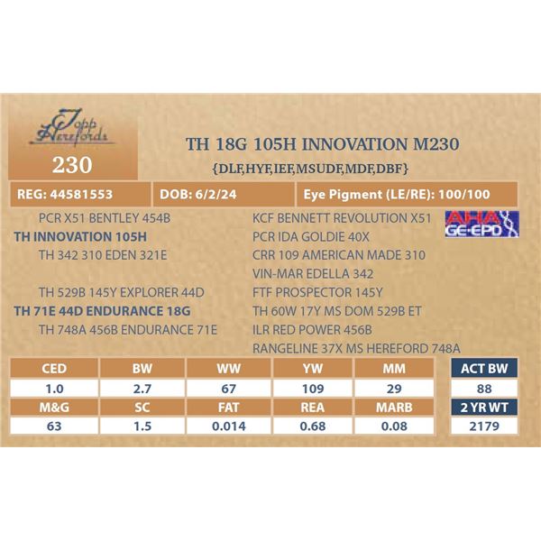 TH 18G 105H INNOVATION M230