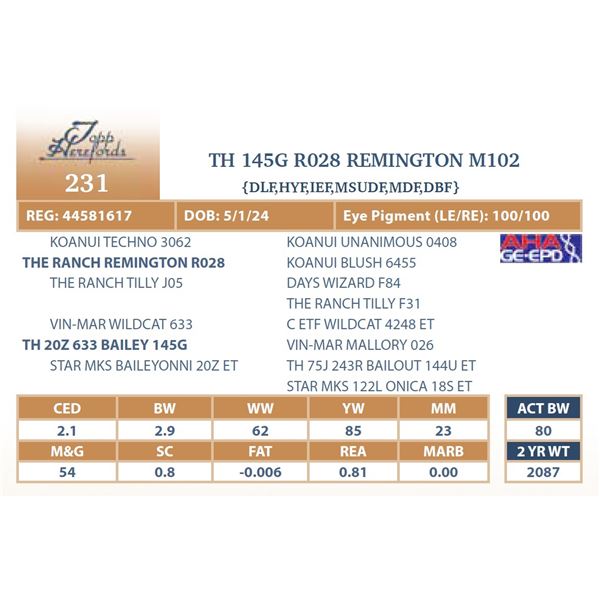 TH 145G R028 REMINGTON M102