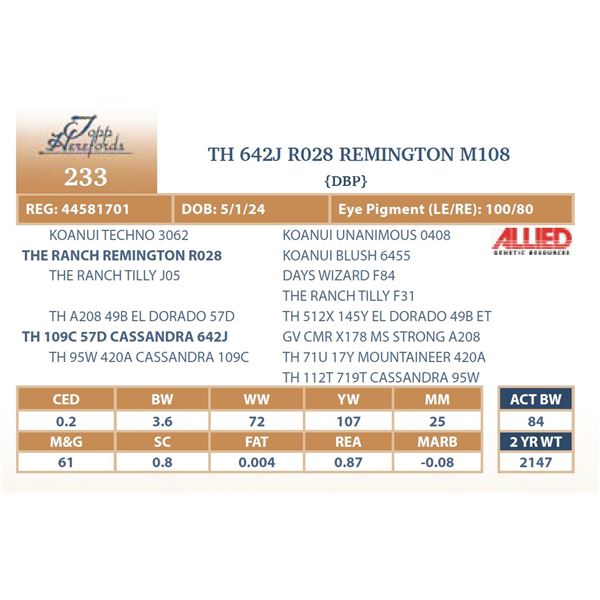 TH 642J R028 REMINGTON M108