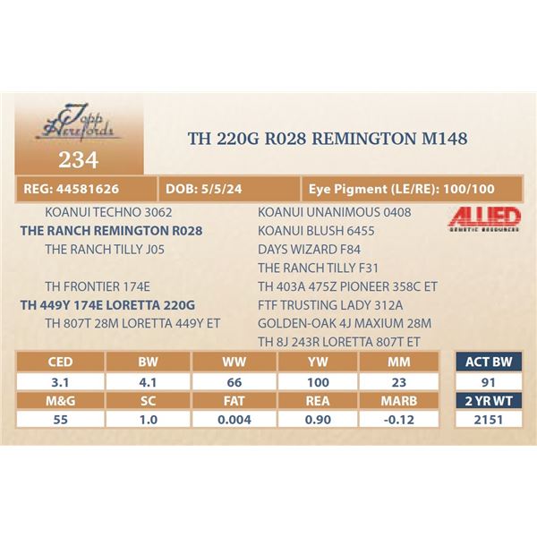 TH 220G R028 REMINGTON M148