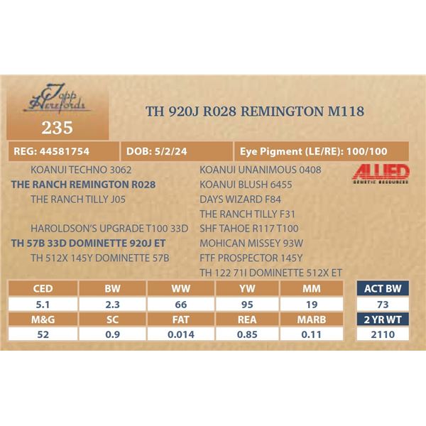 TH 920J R028 REMINGTON M118