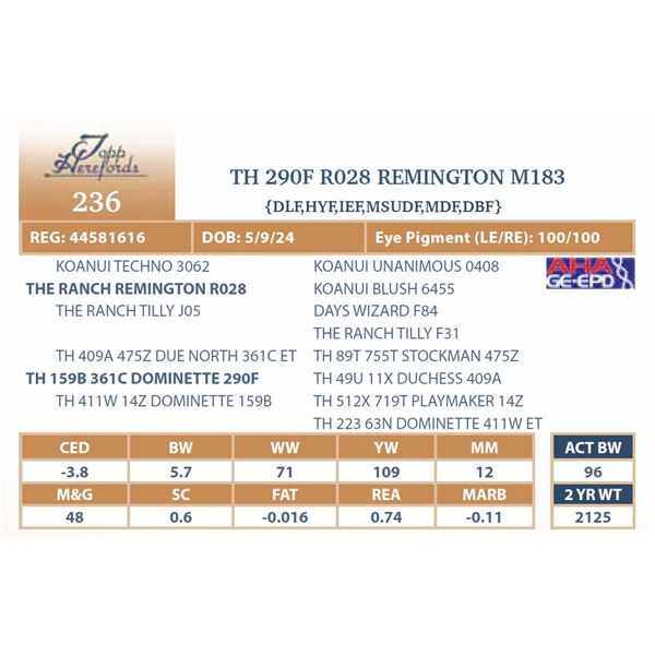TH 290F R028 REMINGTON M183