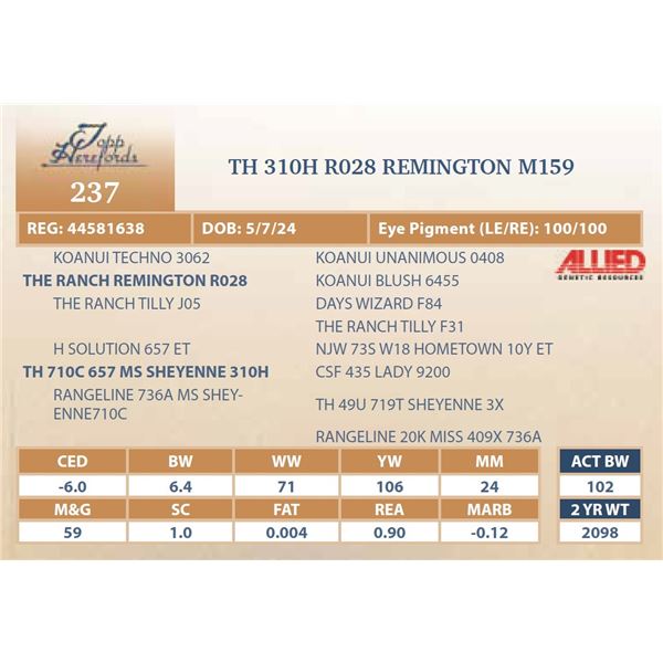 TH 310H R028 REMINGTON M159