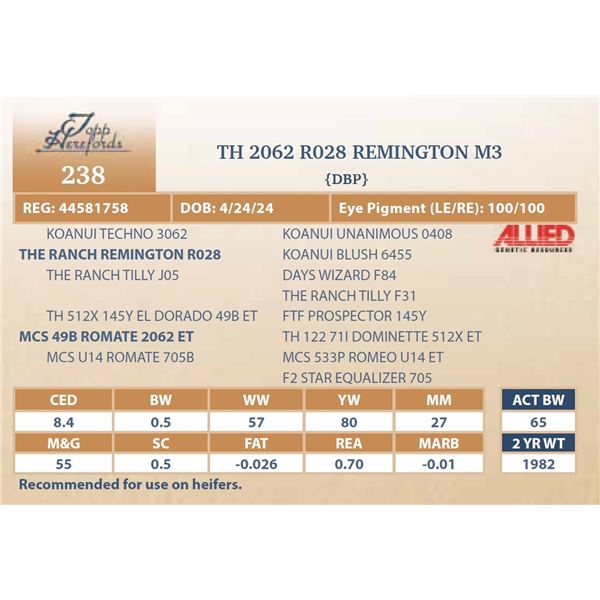TH 2062 R028 REMINGTON M3