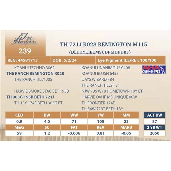 TH 721J R028 REMINGTON M115