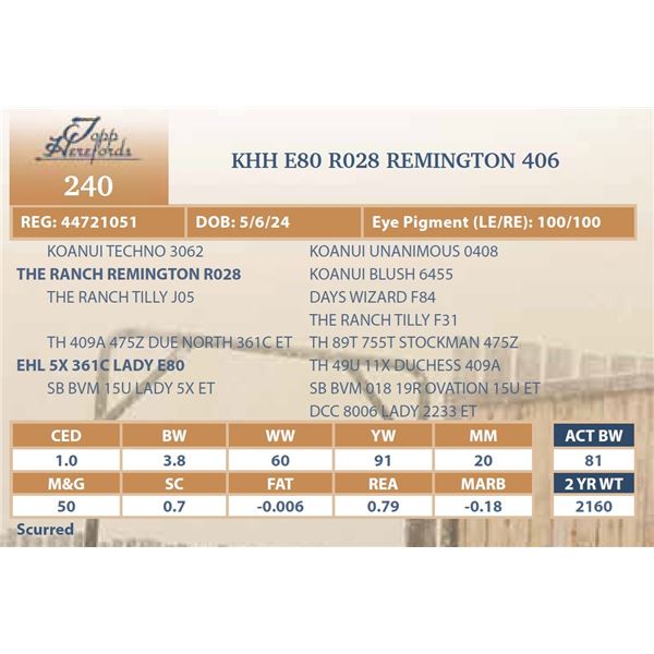 KHH E80 R028REMINGTON 406