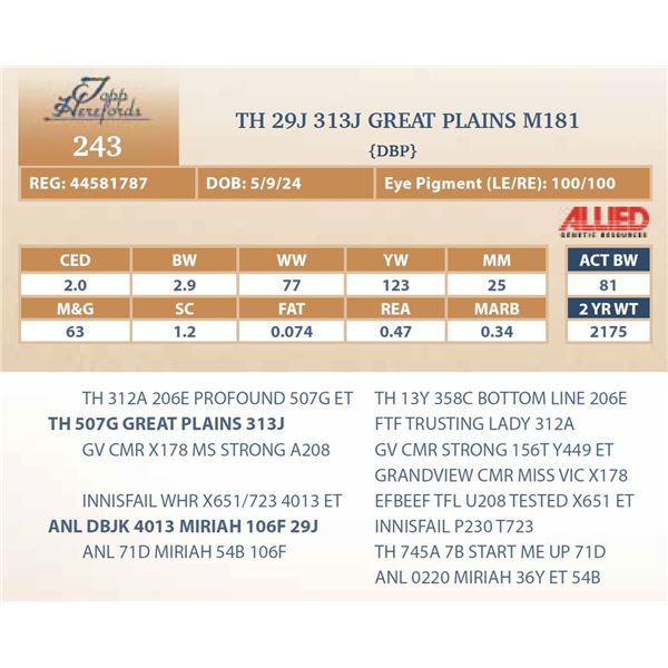 TH 29J 313J GREAT PLAINS M181