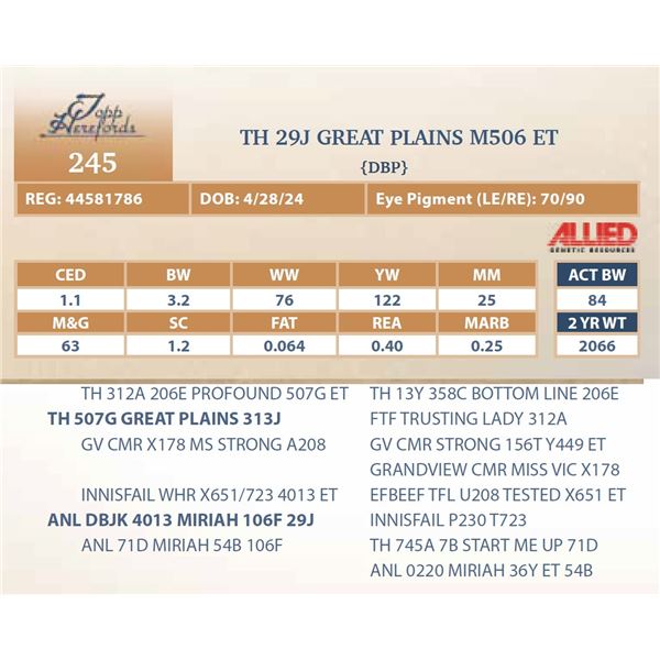 TH 29J GREAT PLAINS M506 ET