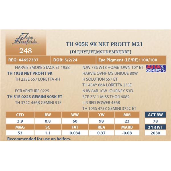 TH 905K 9K NET PROFIT M21