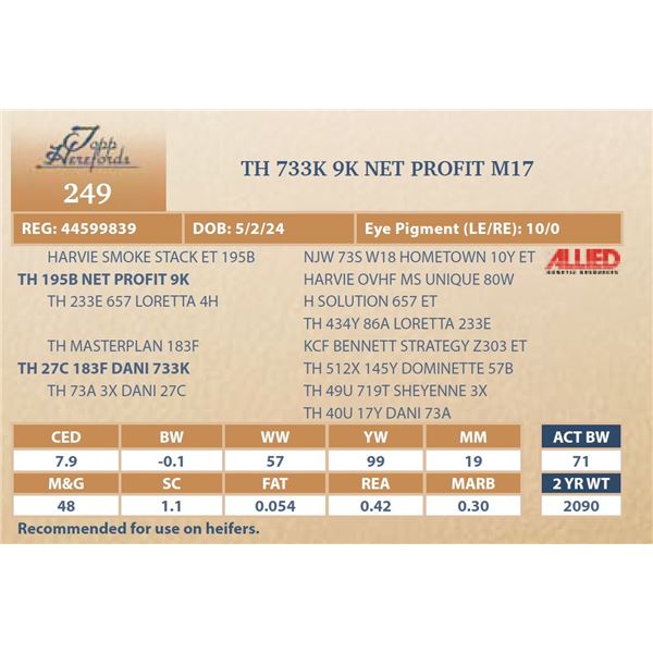 TH 733K 9K NET PROFIT M17