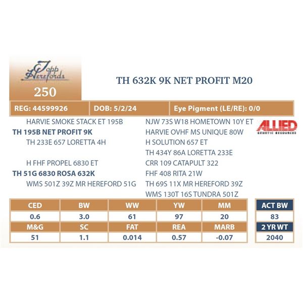 TH 632K 9K NET PROFIT M20