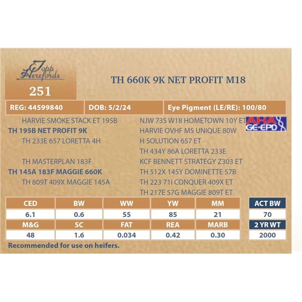 TH 660K 9K NET PROFIT M18