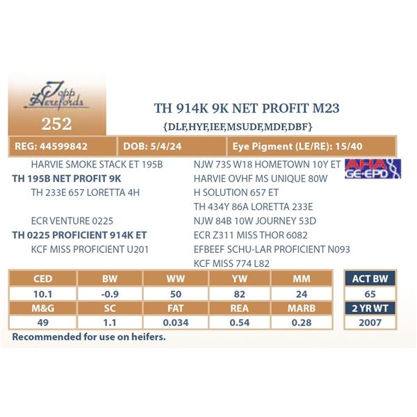 TH 914K 9K NET PROFIT M23