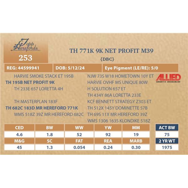 TH 771K 9K NET PROFIT M39