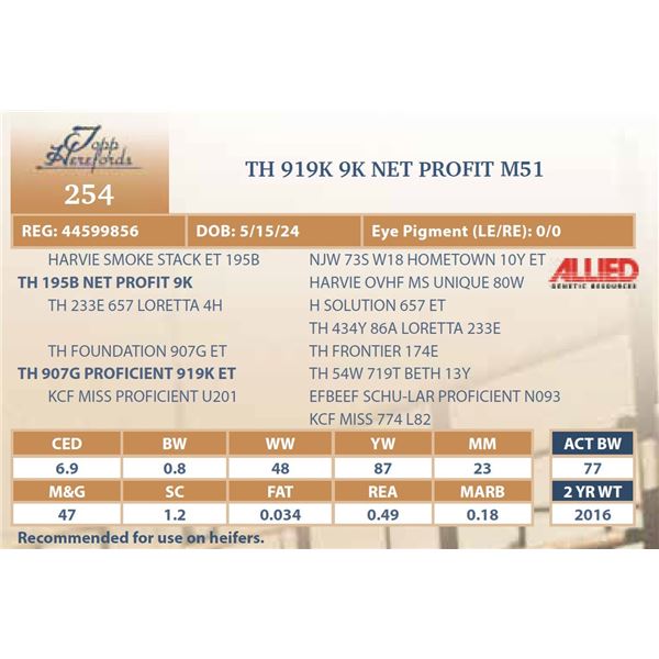 TH 919K 9K NET PROFIT M51