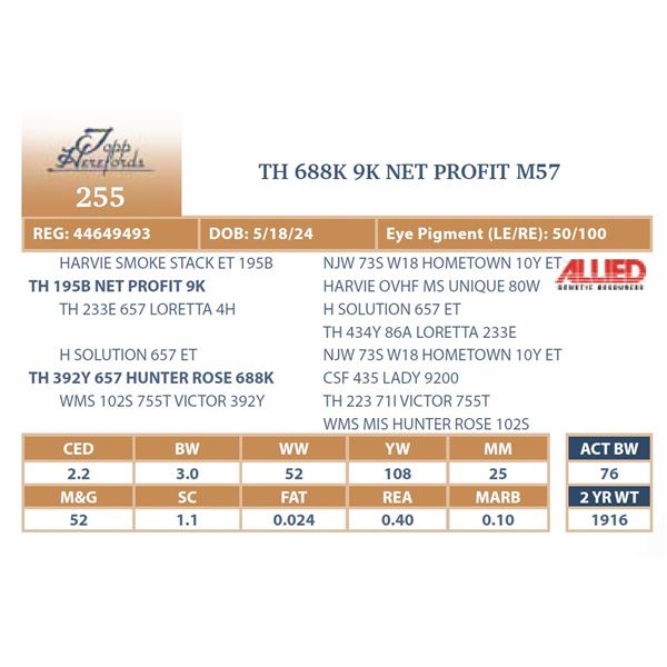 TH 688K 9K NET PROFIT M57