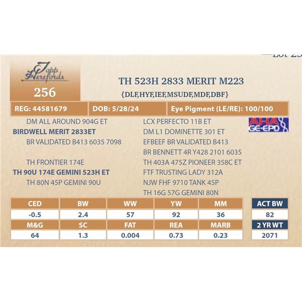 TH 523H 2833 MERIT M223